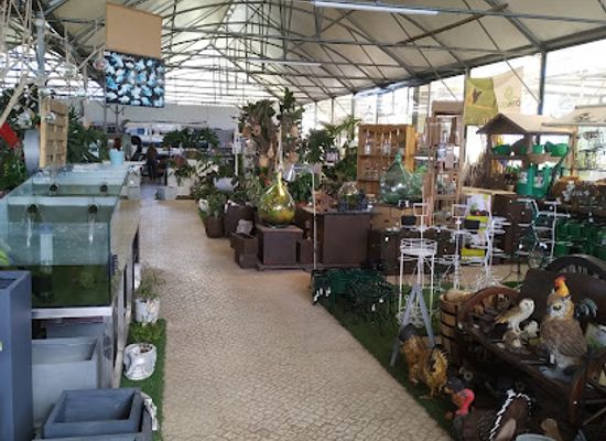 portugal/sintra/shop/gardens-sintra-lda