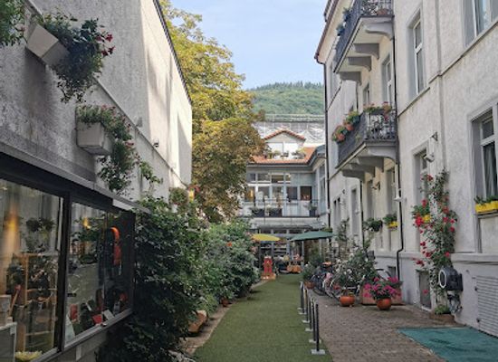 germany/heidelberg/handschuhsheim/shop/goodshouse-heidelberg