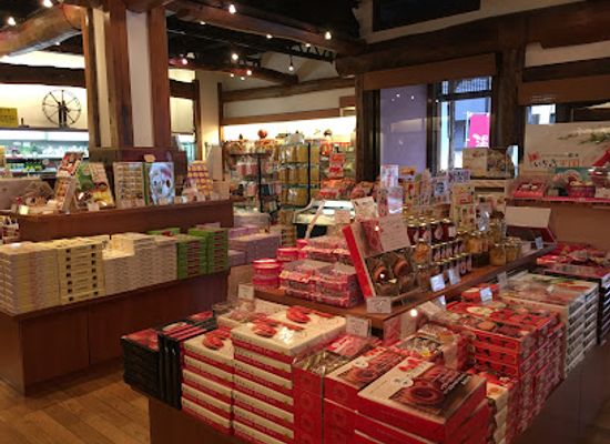 japan/nikko/shop/sumiya