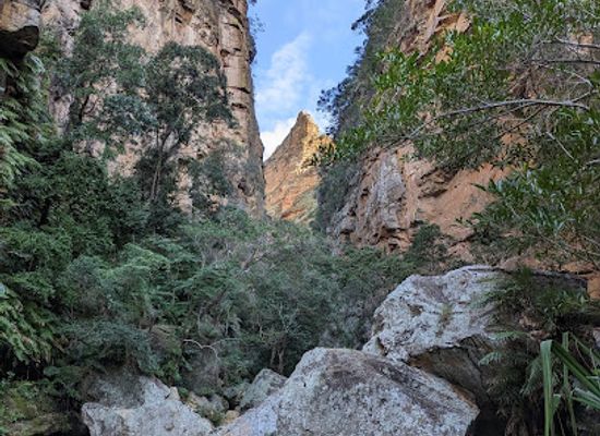 madagascar/isalo-national-park/shop/canyon-des-singes