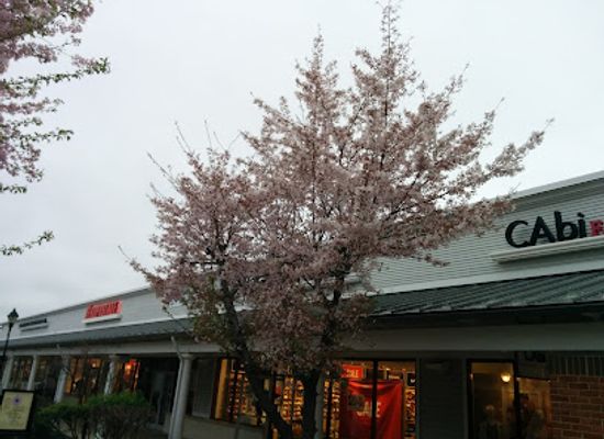 virginia/northern-neck/shop/leesburg-premium-outlets