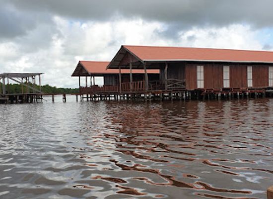 suriname/interior-rainforest/shop/bigi-pan