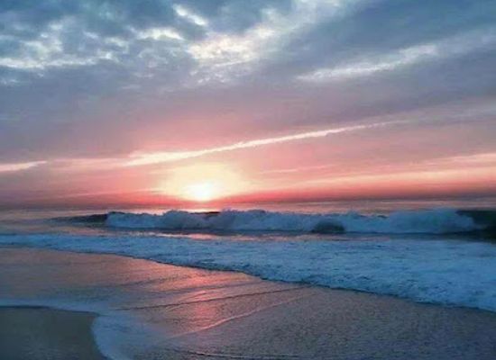 new-jersey/seaside-heights/shop/jersey-4-sure