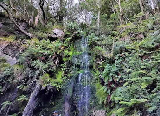 south-africa/table-mountain-national-park/shop/cecilia-table-mountain