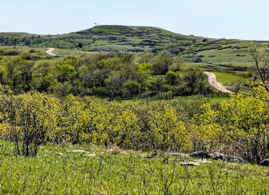 kansas/konza-prairie-biological-station/shop/konza-prairie-nature-trail