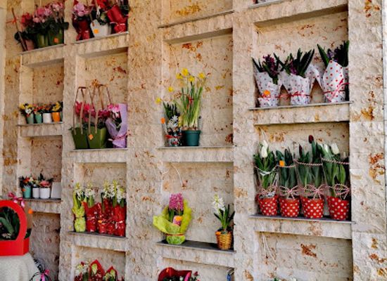 romania/bran-moieciu/shop/floraria-sorina-moeciu-de-jos