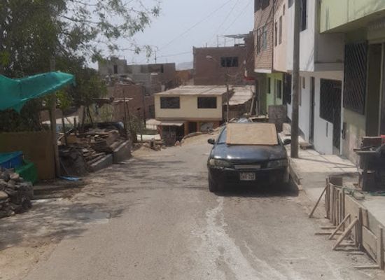 peru/san-martin/shop/calle-san-martin