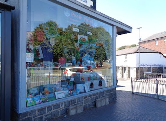 united-kingdom/merionethshire/shop/pwyth-pistyll