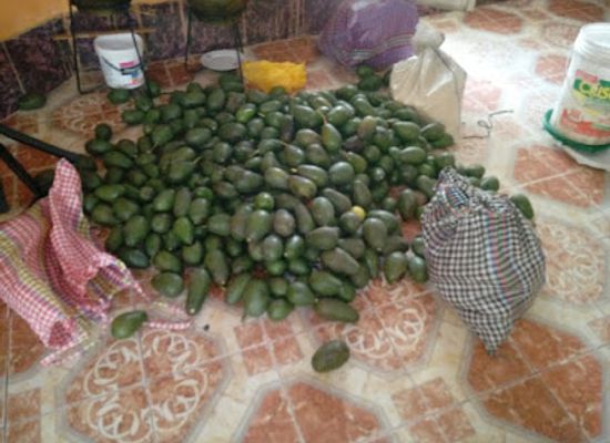 peru/ancash/shop/mercadito-de-carhuaz