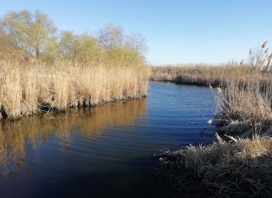 moldova/divnogorie-national-park/shop/lower-dniester-national-park