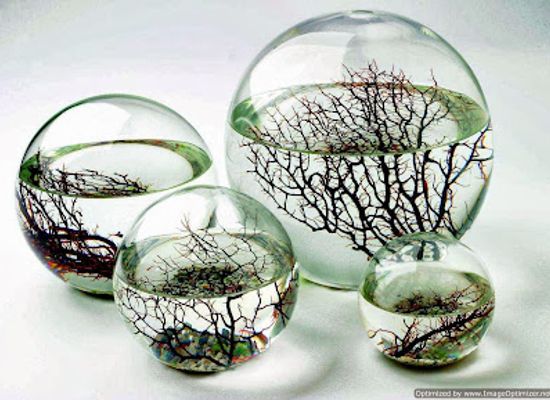 poland/czestochowa/shop/ecosphere-polska