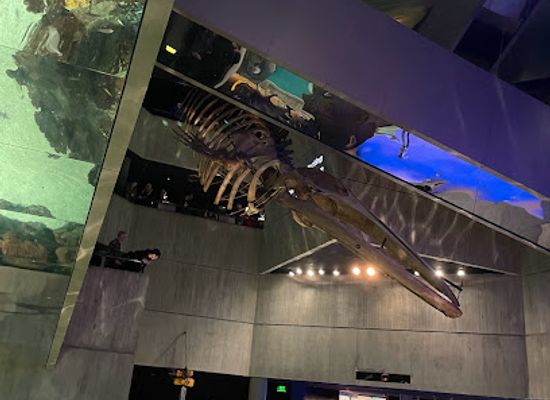maryland/baltimore/inner-harbor/shop/national-aquarium-gift-shop