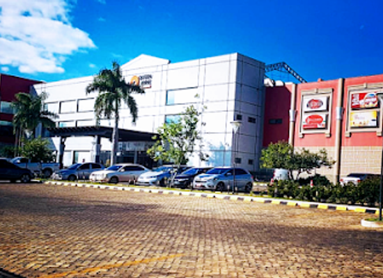 paraguay/guaira-forest/shop/queen-anne