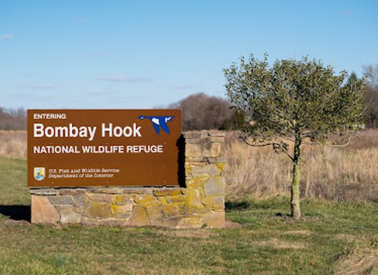 delaware/bombay-hook-national-wildlife-refuge/shop/bombay-hook-national-wildlife-refuge