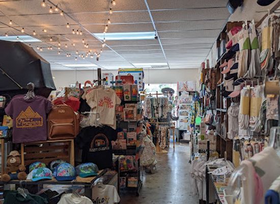 arizona/san-francisco-peaks/shop/babies-to-kids-and-book-nest-toy-store
