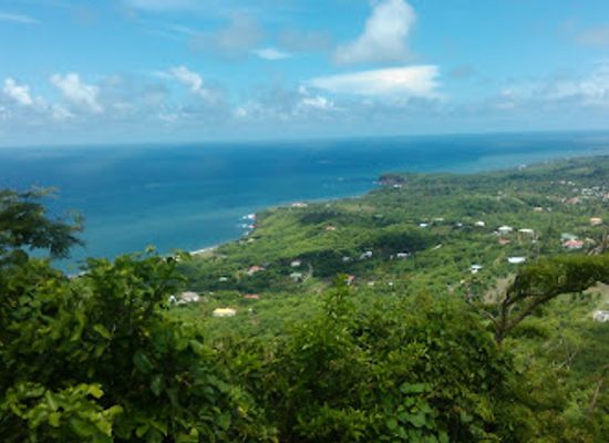 grenada/saint-patrick/shop/central-point-groceries