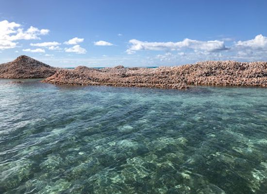 british-virgin-islands/anegada/shop/conch-island