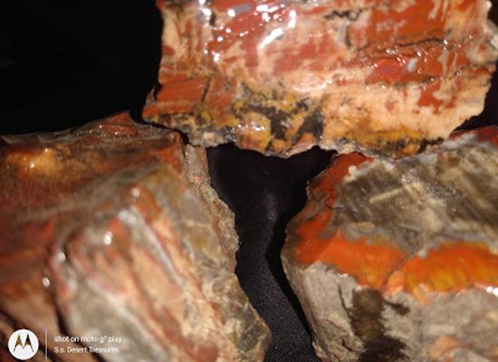 utah/capitol-reef-national-park/shop/s-s-desert-treasures