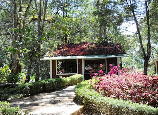nicaragua/matagalpa-coffee-region/shop/selva-negra
