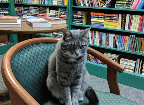 nebraska/north-platte/shop/a-to-z-bargain-books