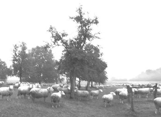 netherlands/vechtstreek/shop/kywie-wijnkoelers