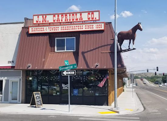 nevada/elko/shop/jm-capriola-co