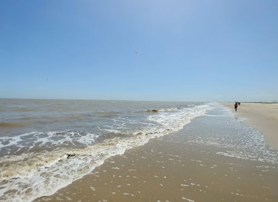 louisiana/holly-beach/shop/holly-beach