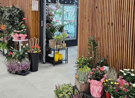 estonia/viljandi-county/shop/mannimae-lillepood