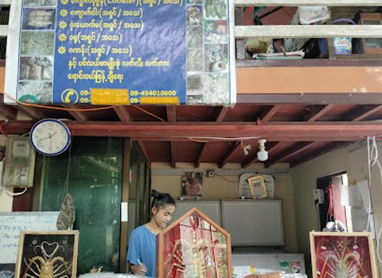 myanmar-burma/rakhine-state/shop/fish-market