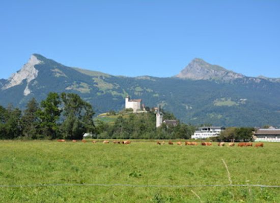 liechtenstein/balzers-region/shop/silverback-tattoo-society