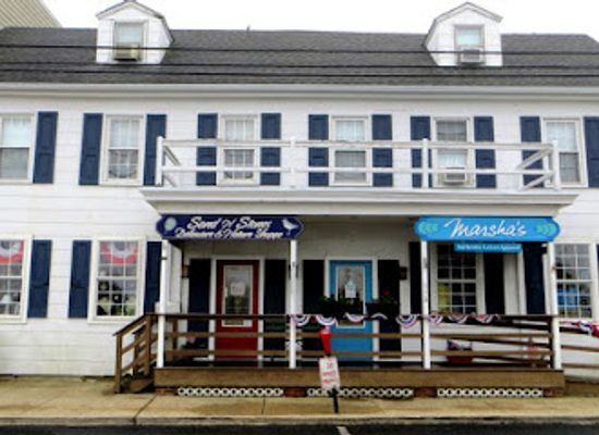 delaware/lewes/shop/sand-n-stones-delaware-nature-gift-shop