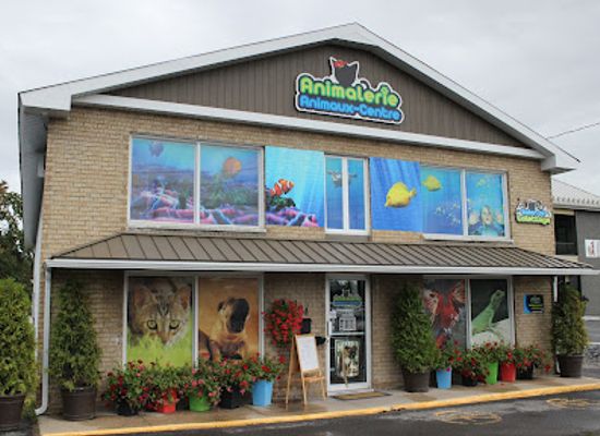 canada/lanaudiere/shop/chico-boutique-d-animaux-joliette