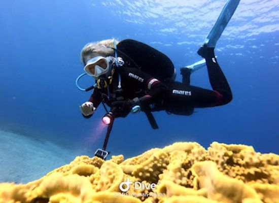 jordan/aqaba-coast/shop/aqaba-frogman-diving-center