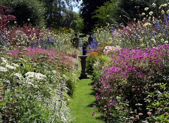 united-kingdom/angus/shop/pitmuies-gardens