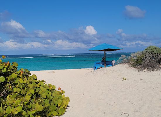 british-virgin-islands/anegada-beaches/shop/big-bamboo-beach-bar-restaurant
