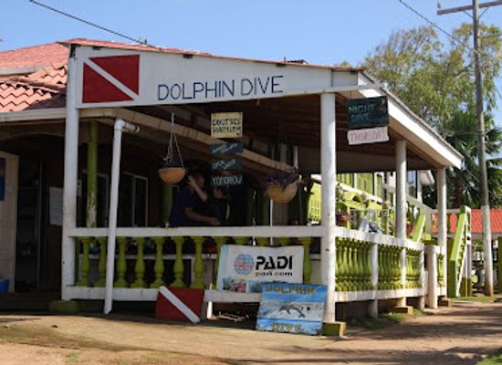 nicaragua/pacific-region/shop/dolphin-dive