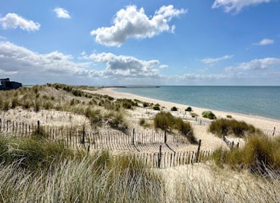 netherlands/wadden-islands/shop/marker-wadden