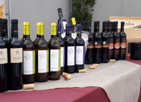 italy/maremma/shop/mambrini-viticoltori-winery