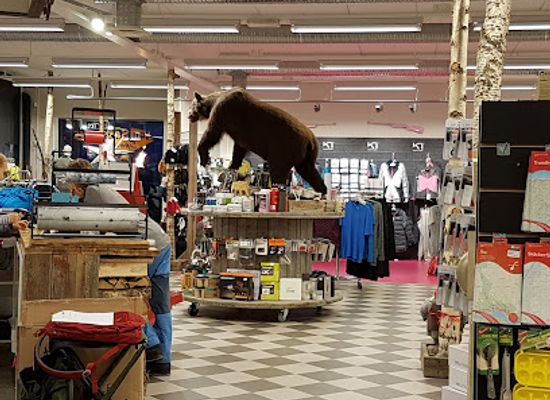 norway/trondelag/shop/jan-sakshaug-sport-as