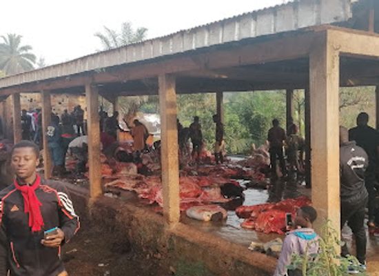 cameroon/foumban/shop/abattoir-njilom