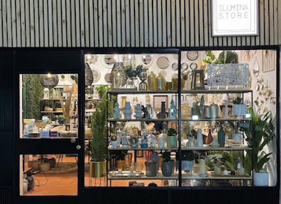chile/araucania-region/shop/ilumina-store