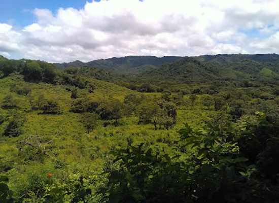 costa-rica/santa-rosa-national-park/shop/yeye-store