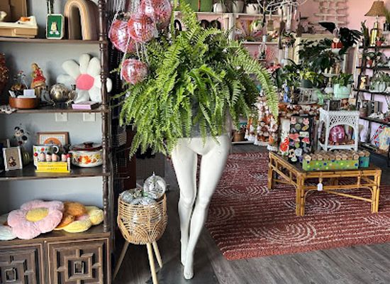 south-dakota/sioux-falls/falls-park/shop/art-moms-and-friends-boutique