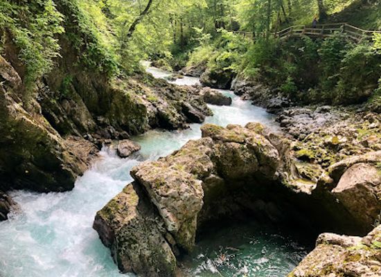 slovenia/lake-bled/shop/natour-bled-vintgar-gorge-shuttle-beer-shop-bled