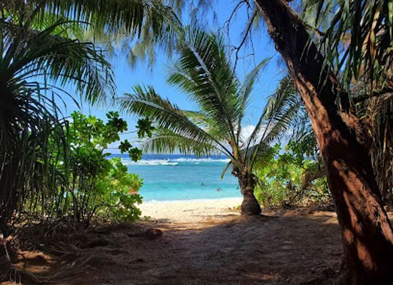 guam/ritidian-point/shop/guam-national-wildlife-refuge