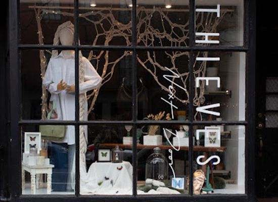 massachusetts/boston/beacon-hill/shop/thieves-next-door