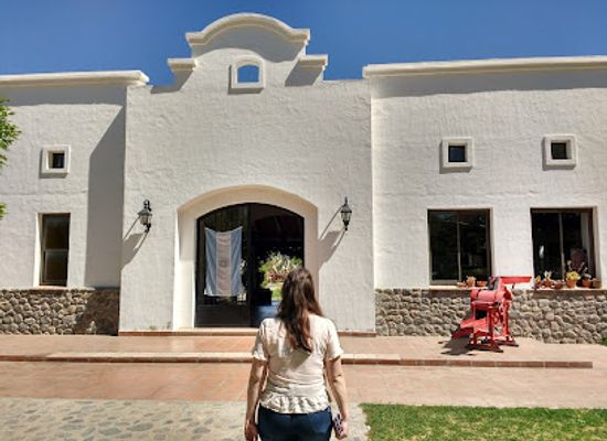 argentina/cafayate/shop/bodega-domingo-hermanos
