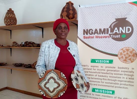 botswana/okavango-delta/shop/ngamiland-baskets-weavers-trust