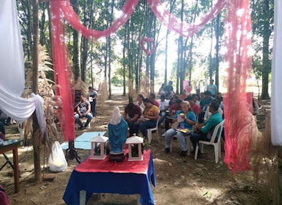 colombia/catatumbo/shop/vivero-los-cacaos