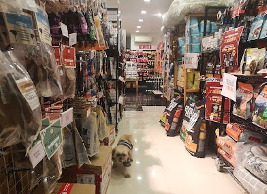 singapore/balestier/shop/i-n-u-boutique-retail-shop-for-pet-products-not-cafe